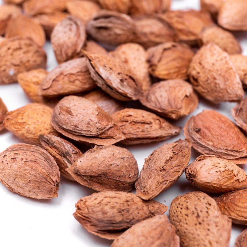 Soft Shell Almonds